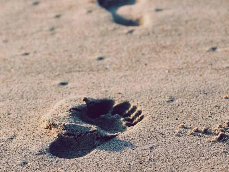 광명하수구뚫음