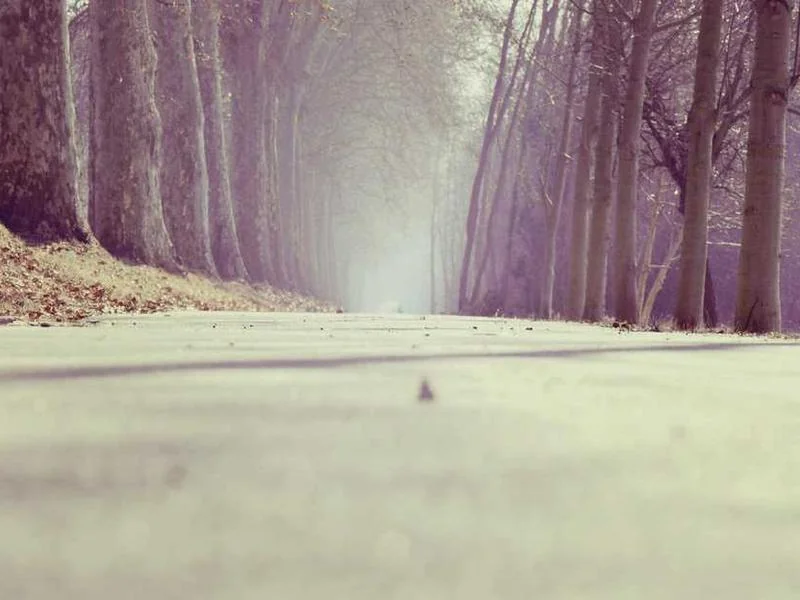 옥길동하수구막힘,싱크대막힘,변기막힘