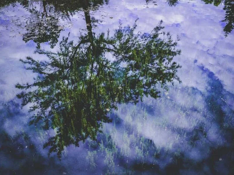 옥길동하수구막힘,싱크대막힘,변기막힘